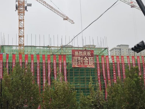 鎮(zhèn)原縣茗萃苑住宅小區(qū)項(xiàng)目主體封頂